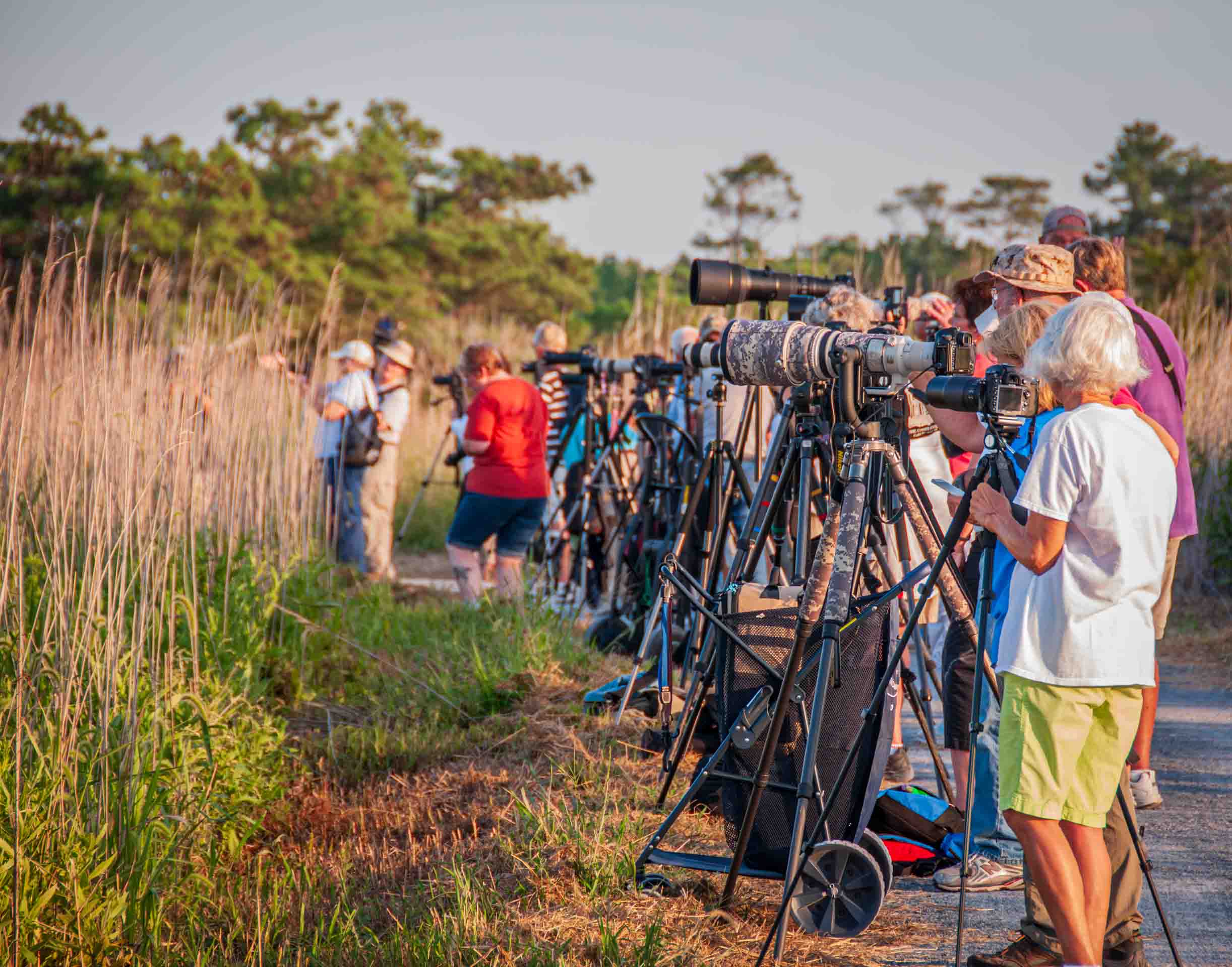 Yrs_2010-2014_CCC_IMG_006709_ - Waiting for the moonrise at Gordon's Pond.jpg